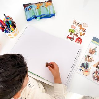 Maison en désordre, par où commencer ?