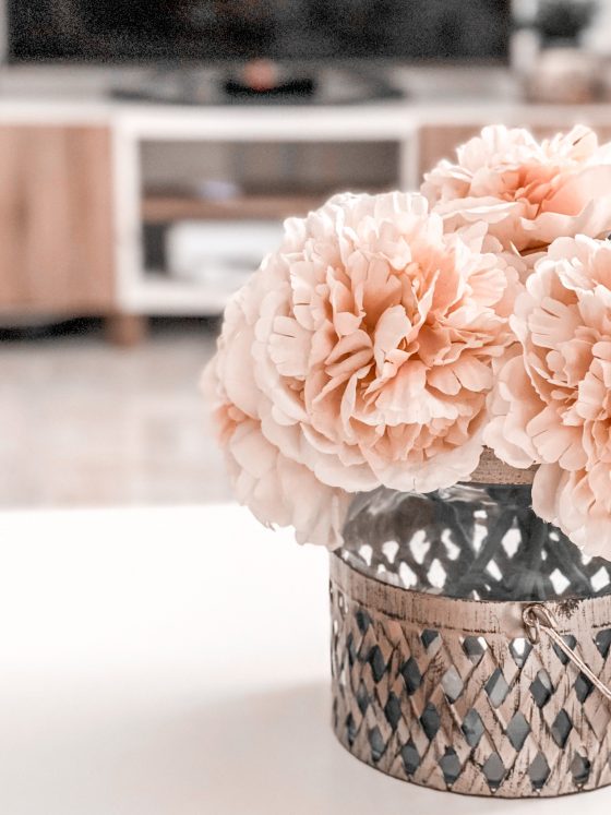 Ménage : 10 choses à faire devant la télé